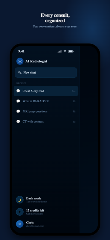 Side drawer with the recent conversation list, dark mode toggle and remaining credits