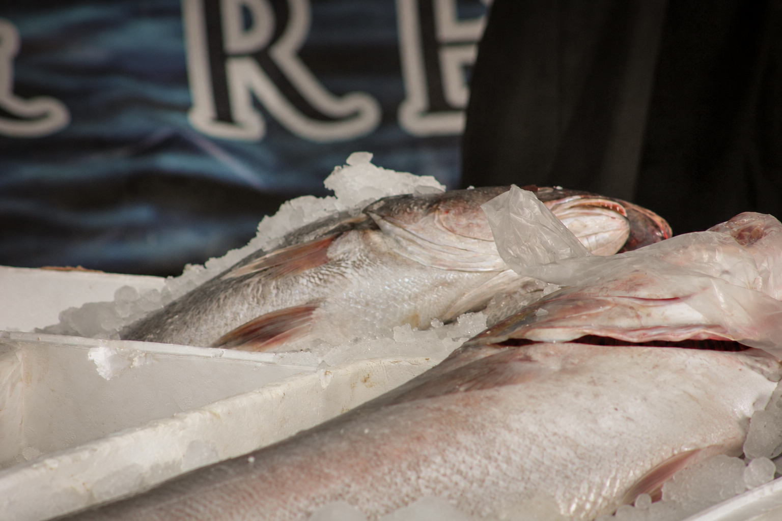 Whole fish on ice, close up