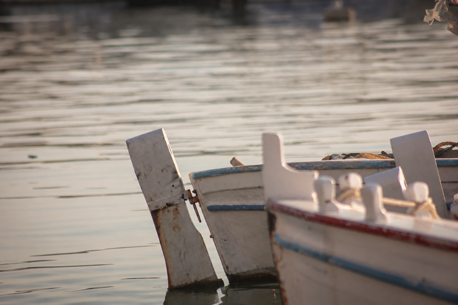 The bows of two boats on calm water