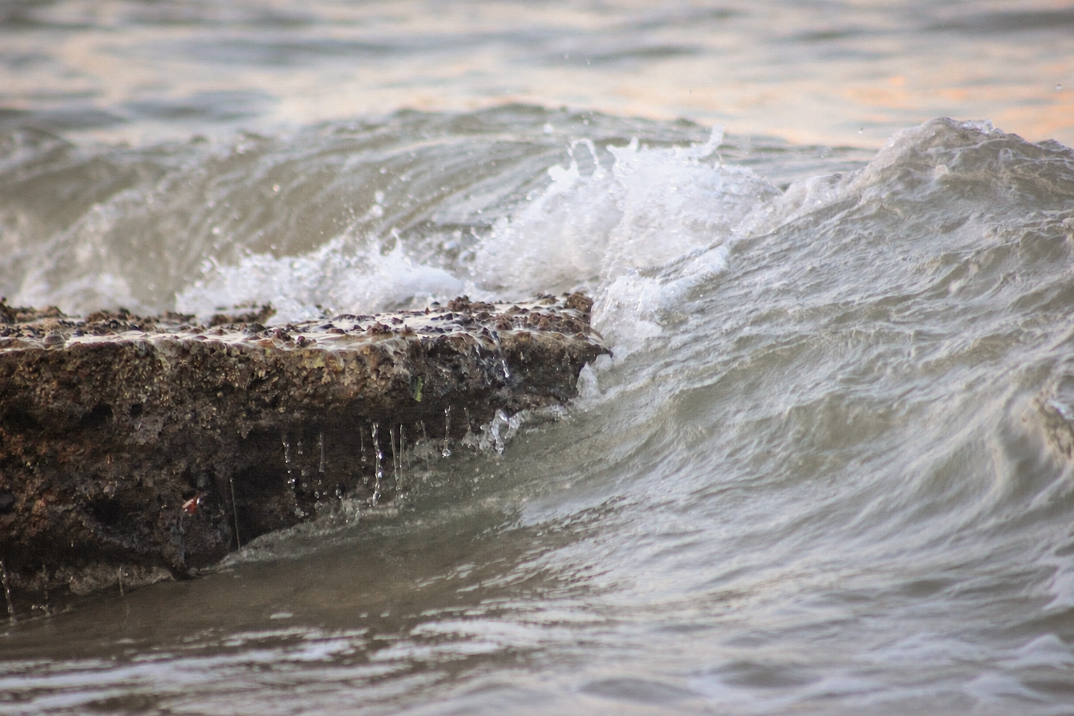 A wave breaking over the rocks