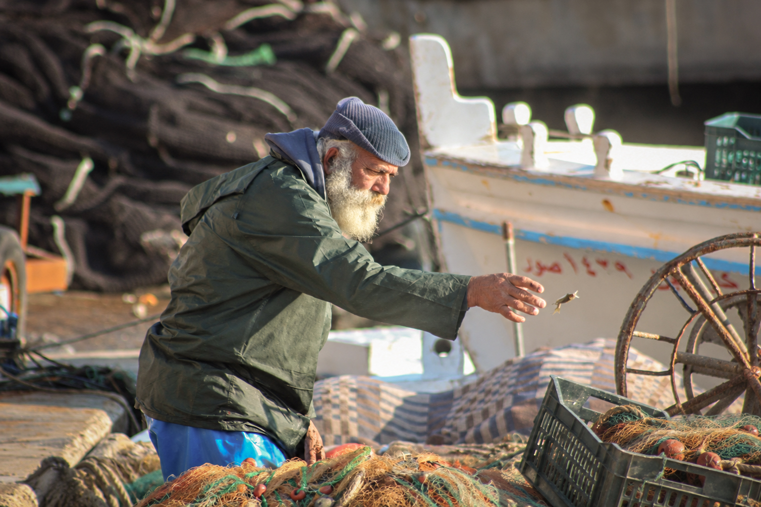 A fisherman throwing a fish onto the quay of the harbour of Tyre
