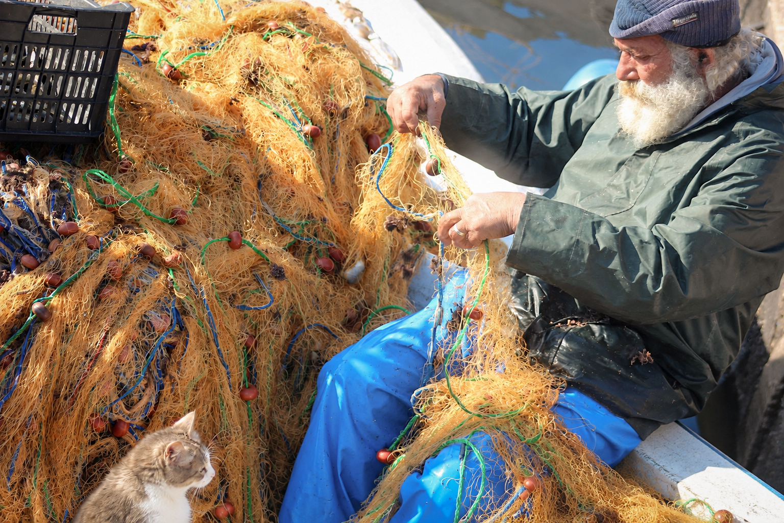 A fisherman pulling an orange net free, a cat at his feet