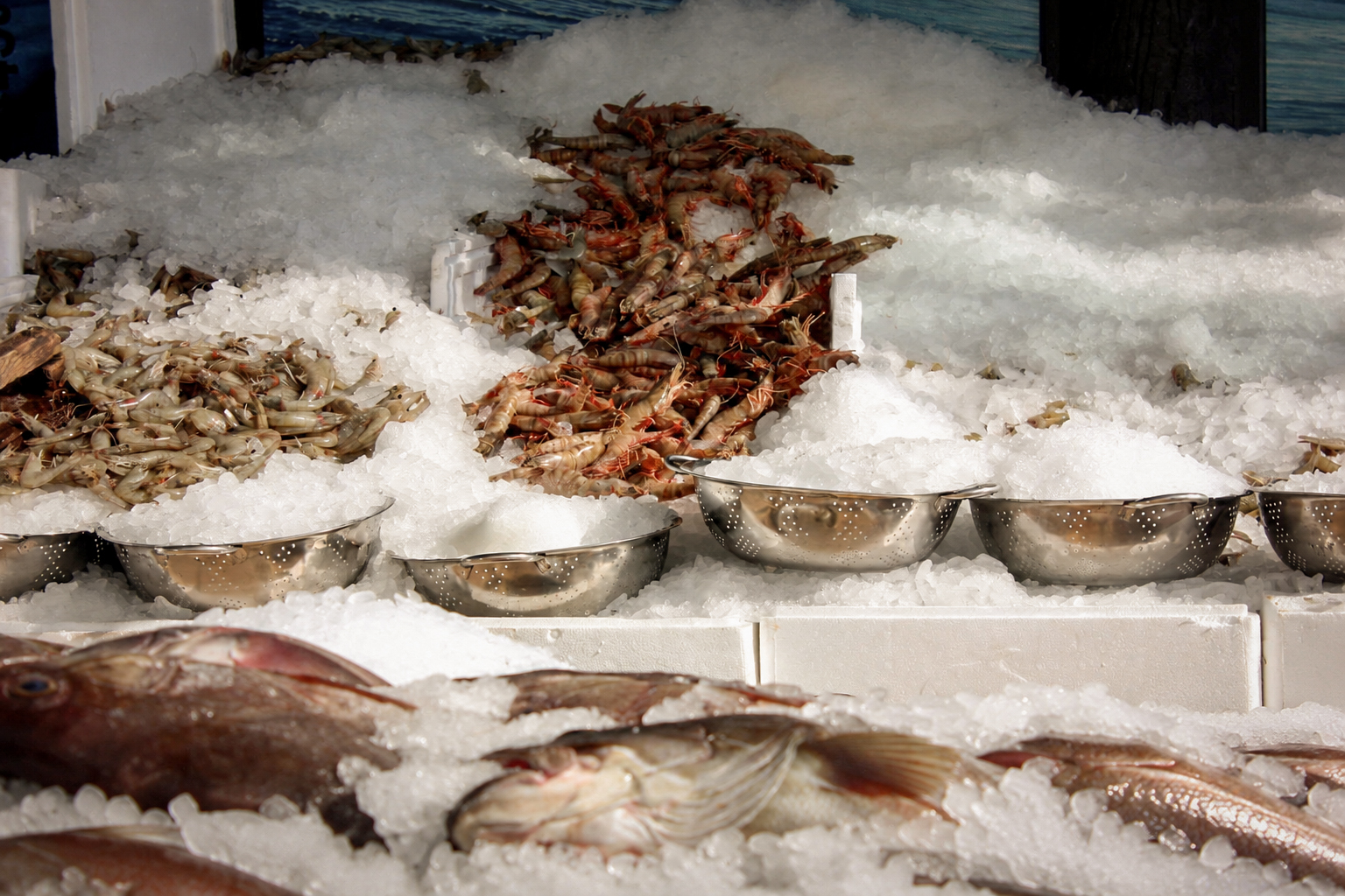 The day's catch on ice: shrimp, fish and seafood