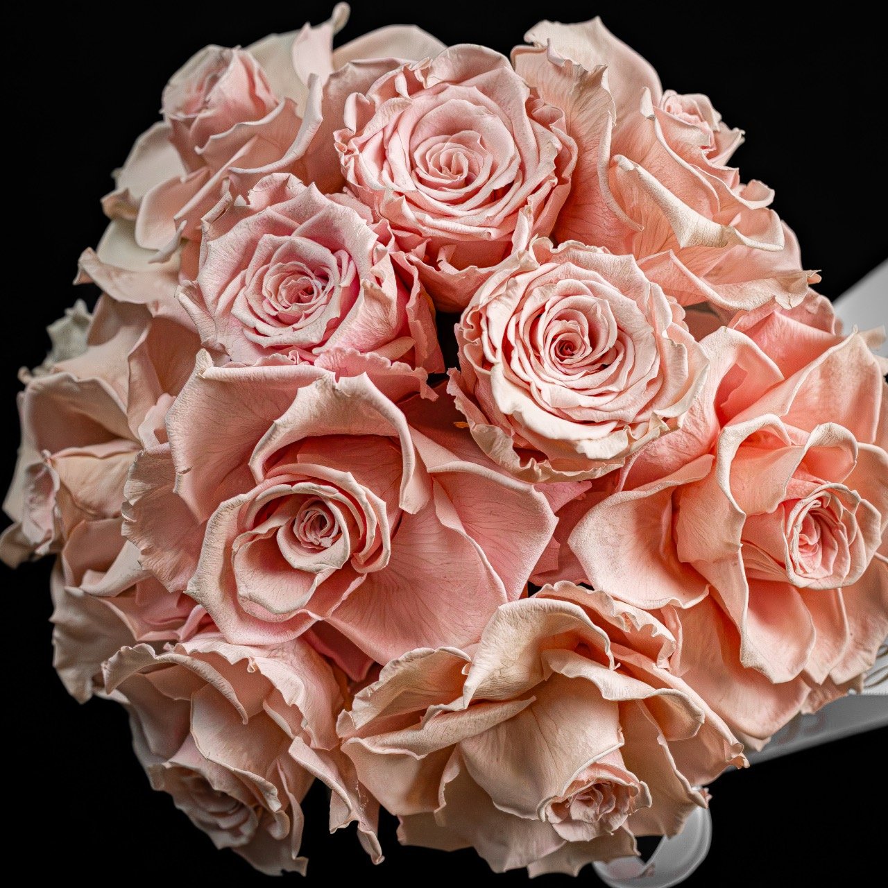 Still life of pink flowers