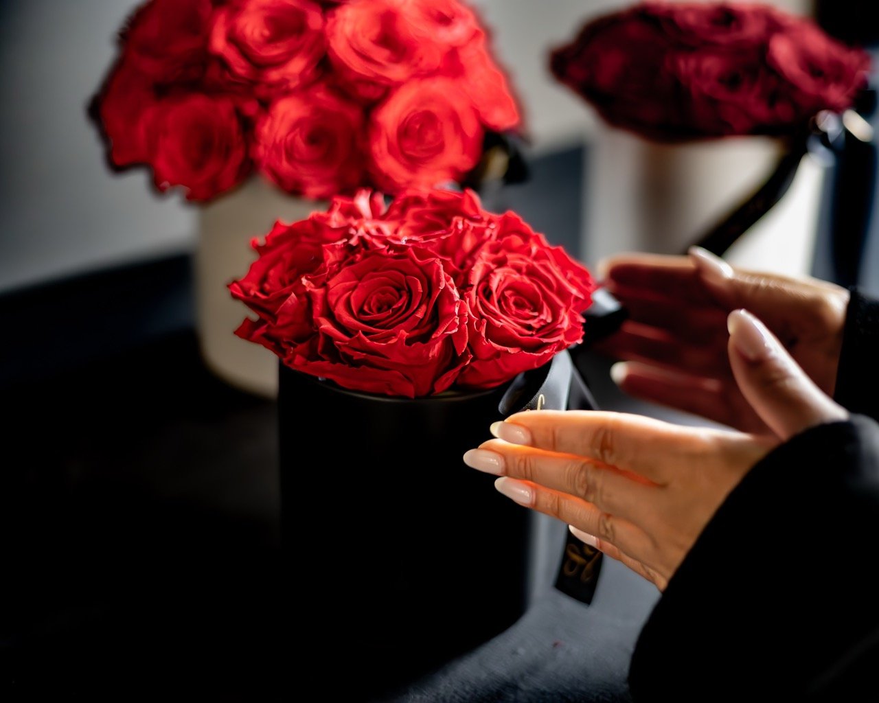 Red roses still life