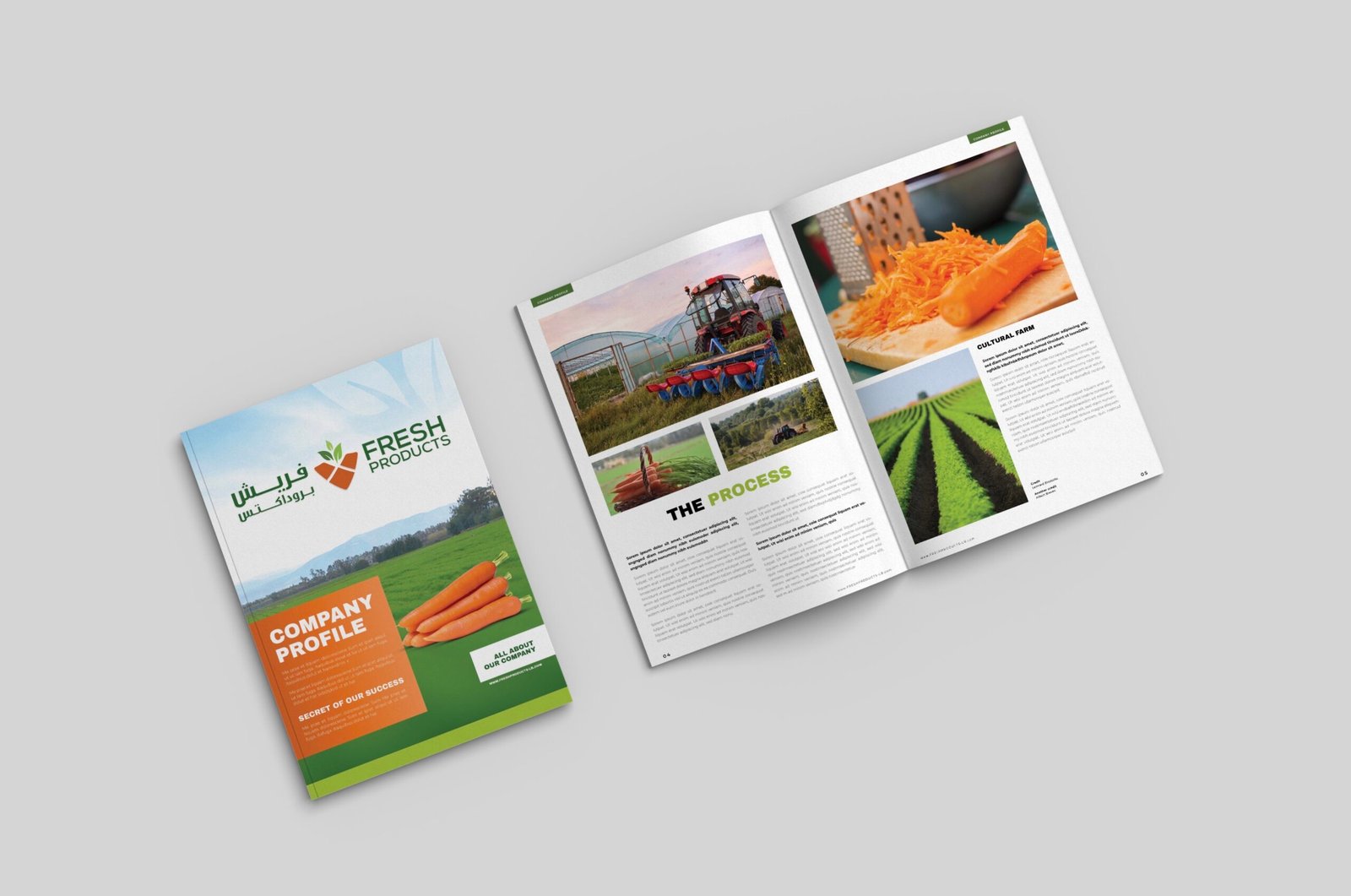 An open catalogue spread.