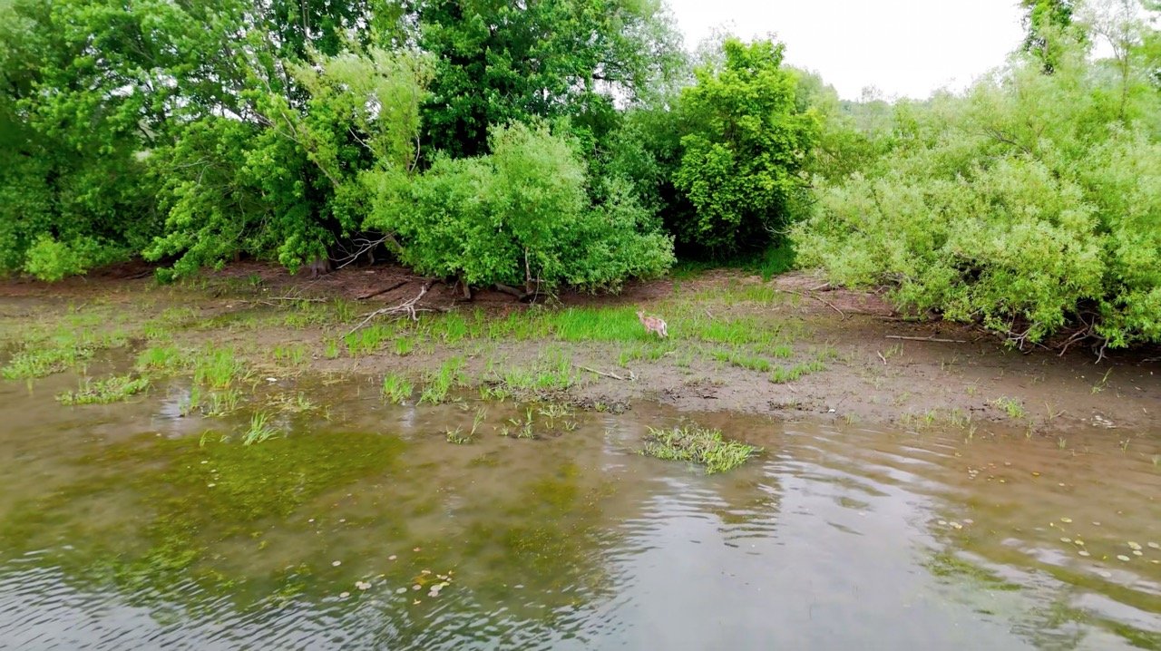 Aerial photograph of a river winding through a lush green landscape.