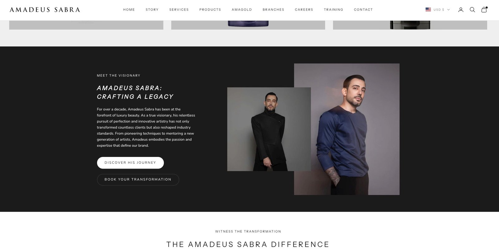 The 'About the Artist' section.