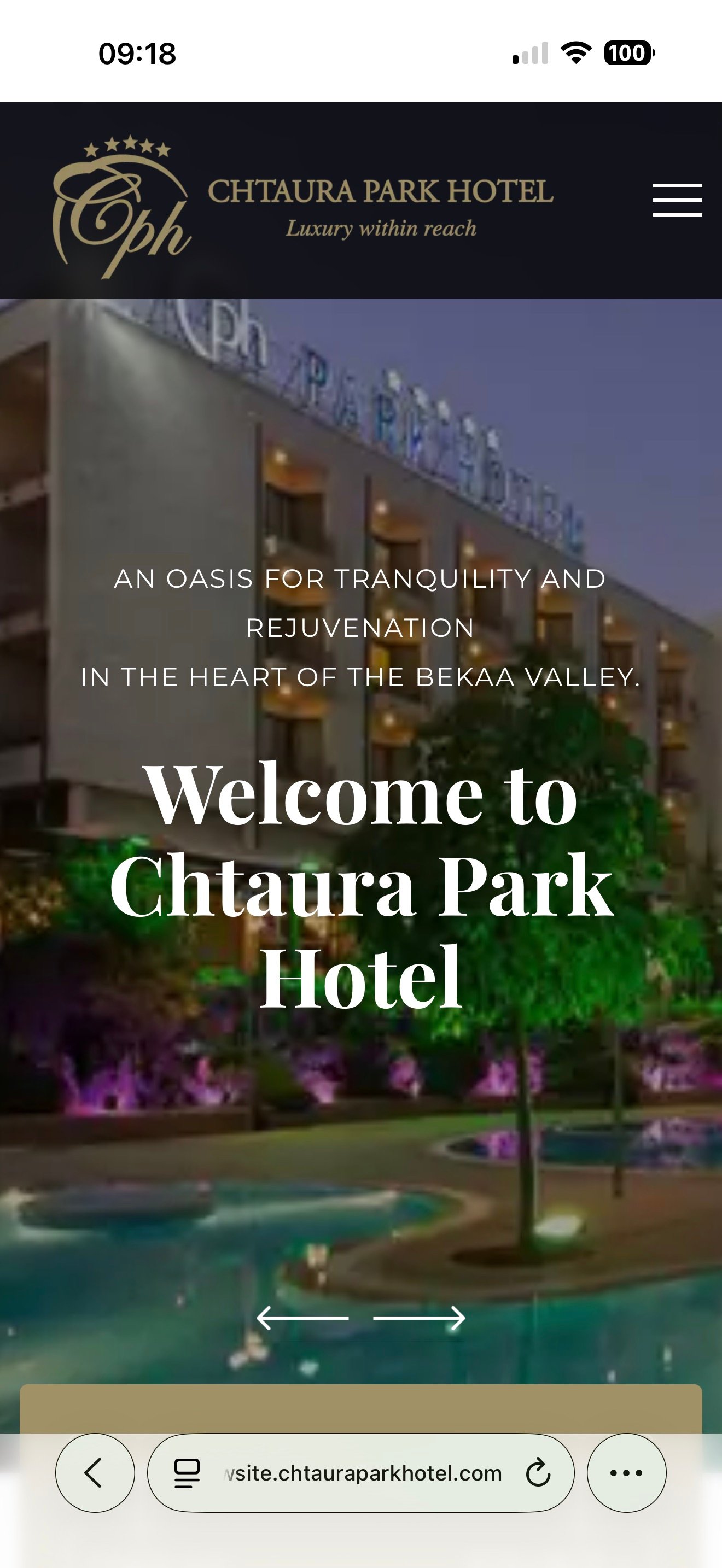 The hotel website homepage on mobile.